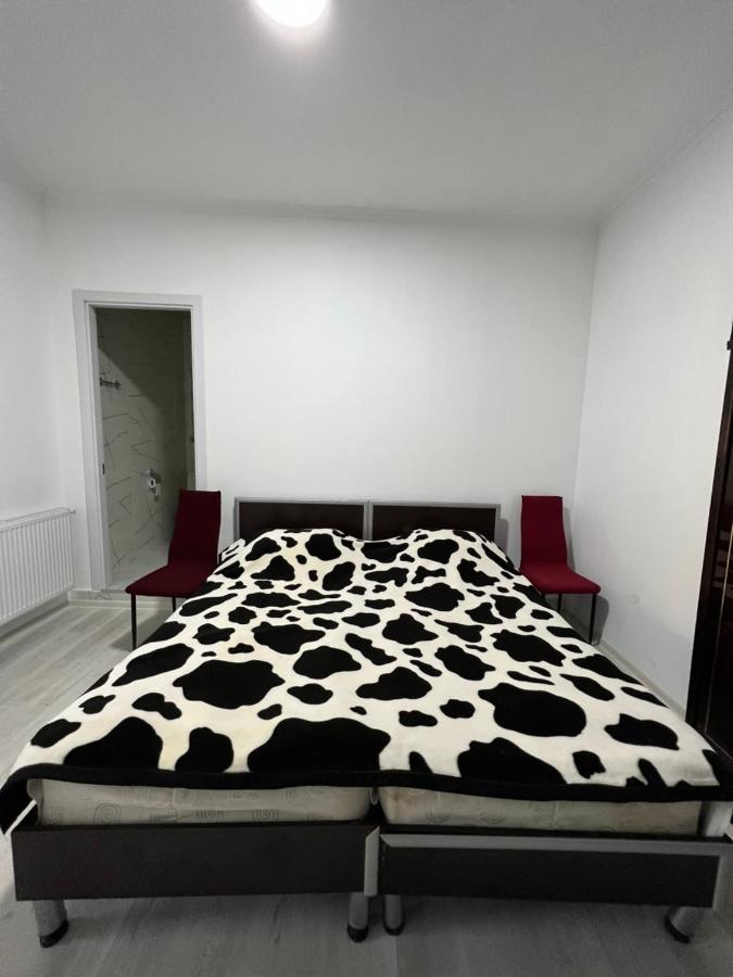 Guest House Lali Sighnaghi Exterior photo